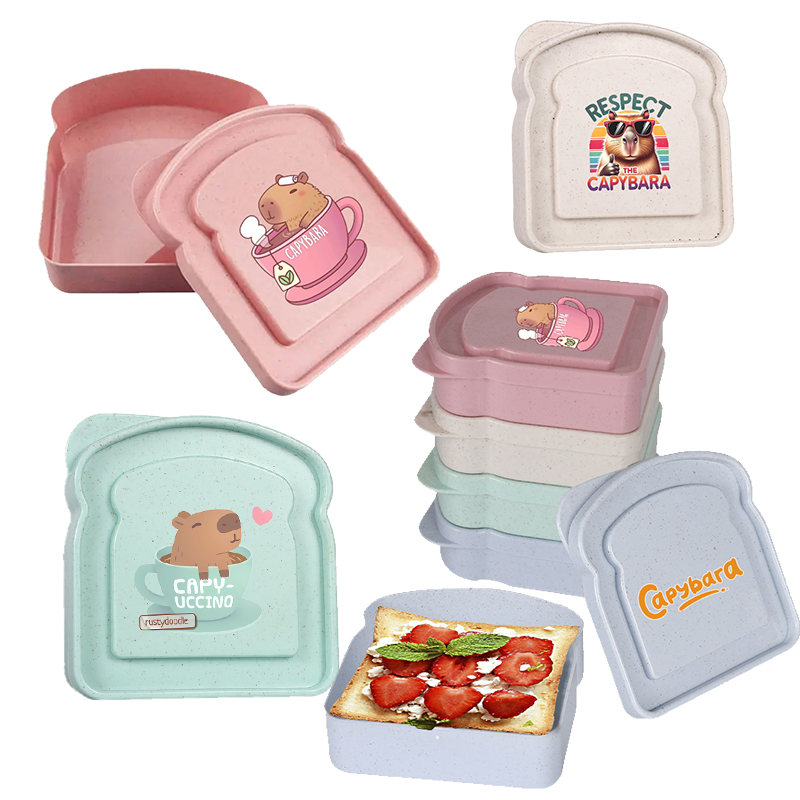 Food Storage Containers Plastic Box - Capybara Sandviç Gıda Saklama Kutusu Konteyner