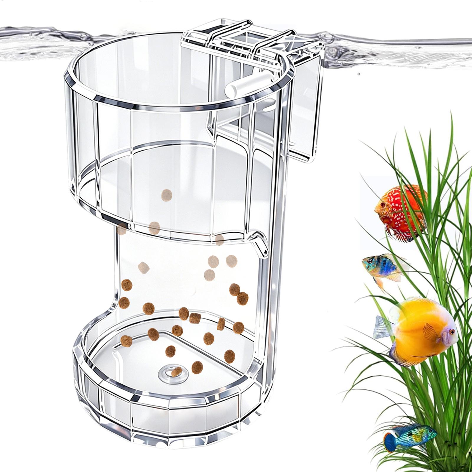 Akvaryum Yemlik Kabı Şeffaf Ye - Food Storage Room incelemesi ve fiyatı